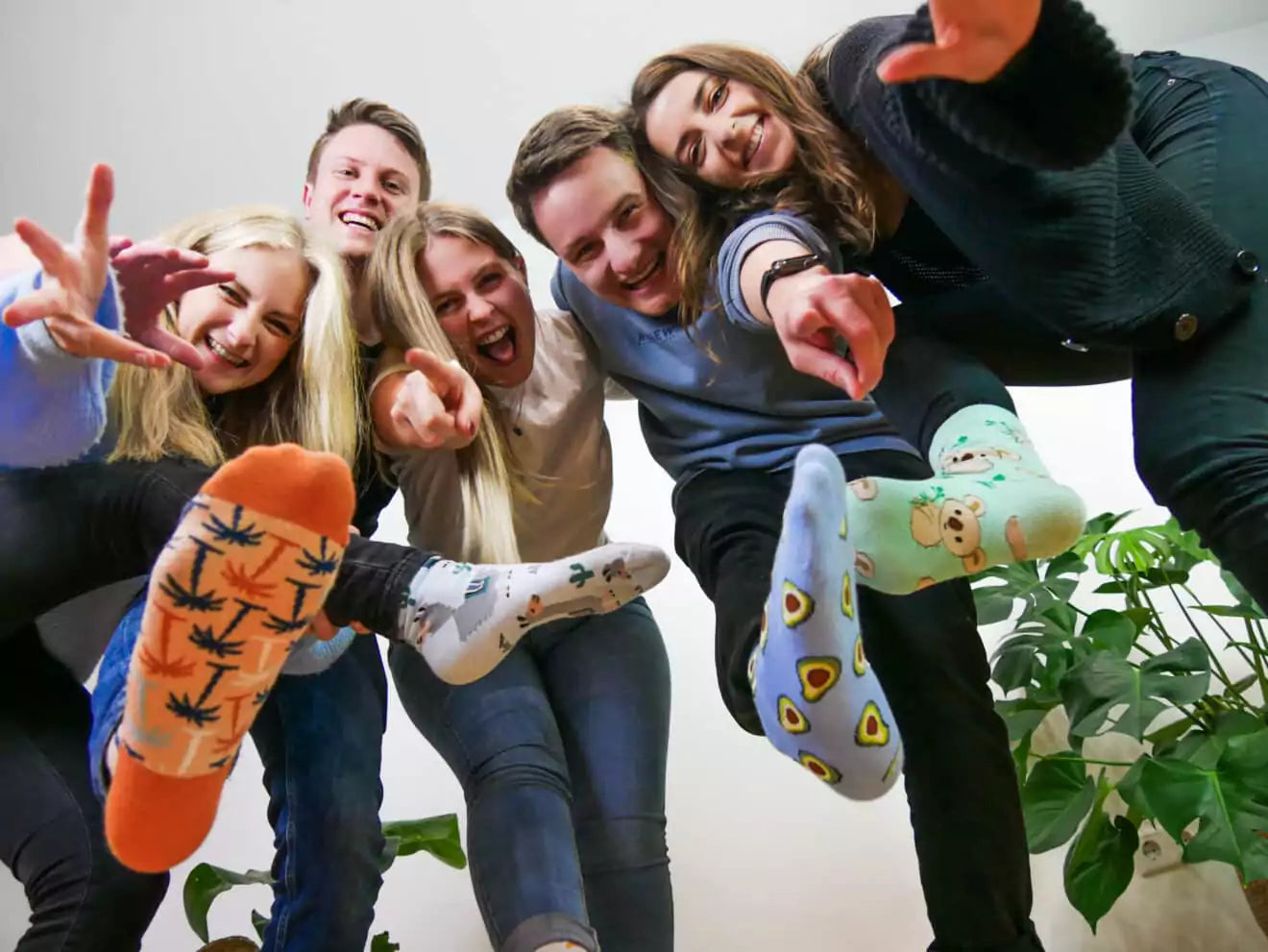 Bunte lustige Socken von MYSOX im Sockenabo