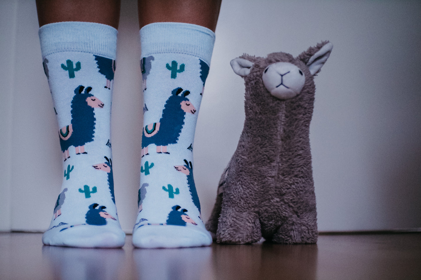 Buntes Sockenabo